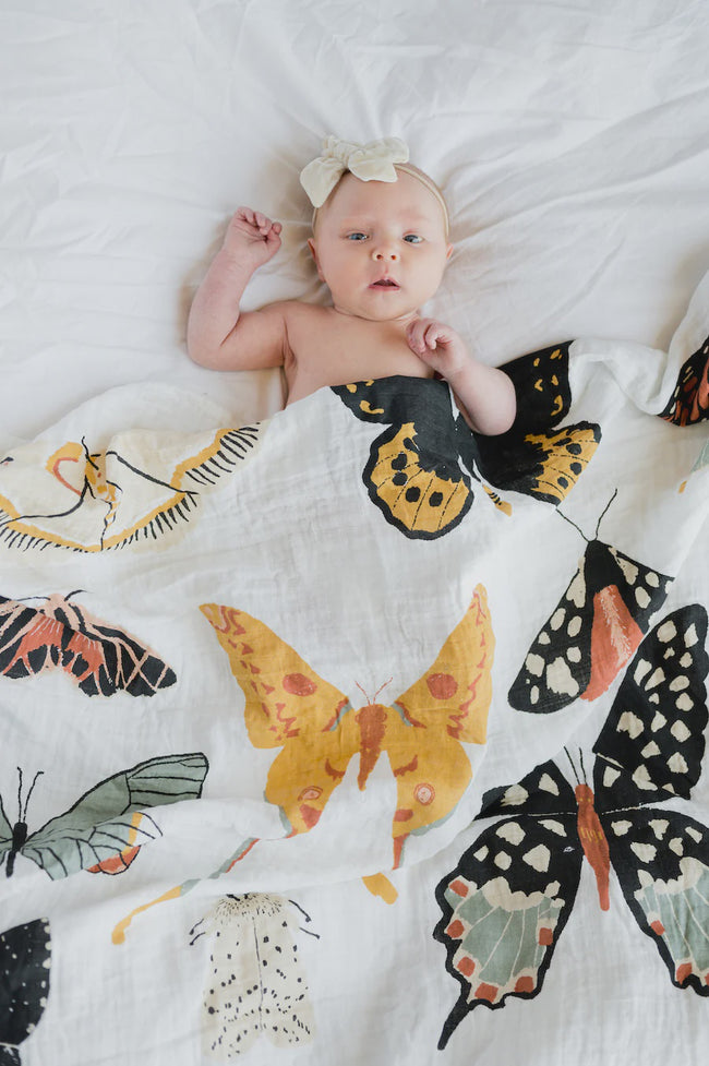 Butterfly Collector Swaddle - 47" x 47"