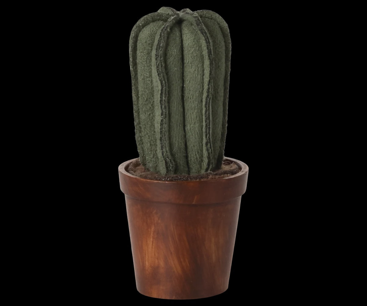 Flower pot with cactus, Miniature