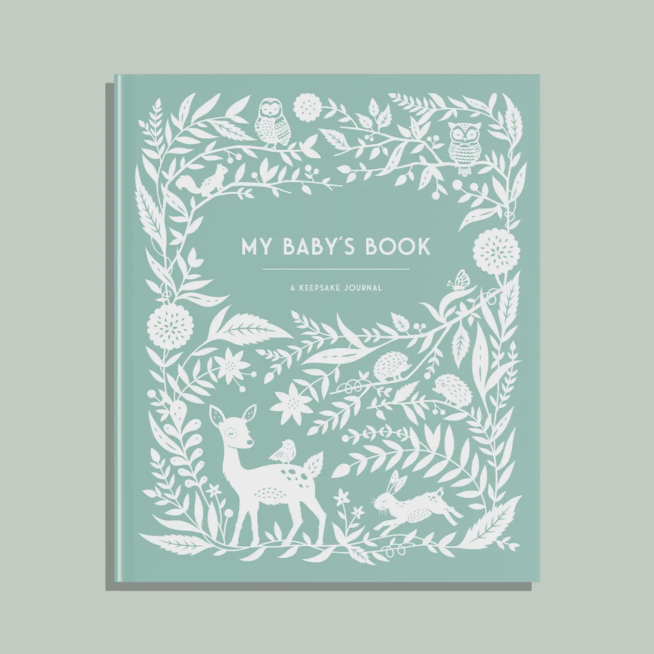 My Baby's Book: A Keepsake Book