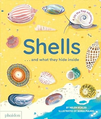 Shells... and what they hide inside!