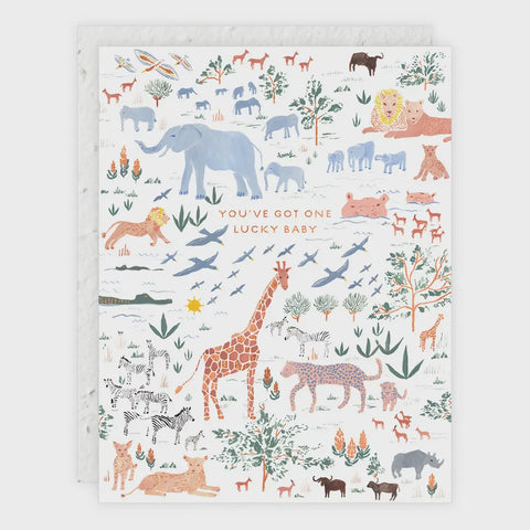 Zebra Cake - Birthday Card