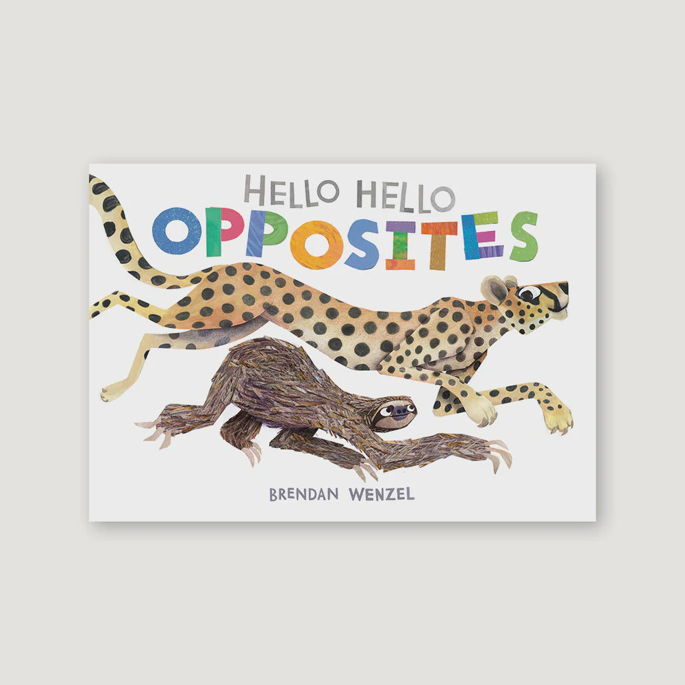 Hello Hello Opposites