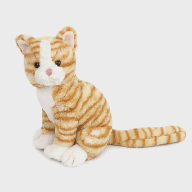 Chichi Kitty