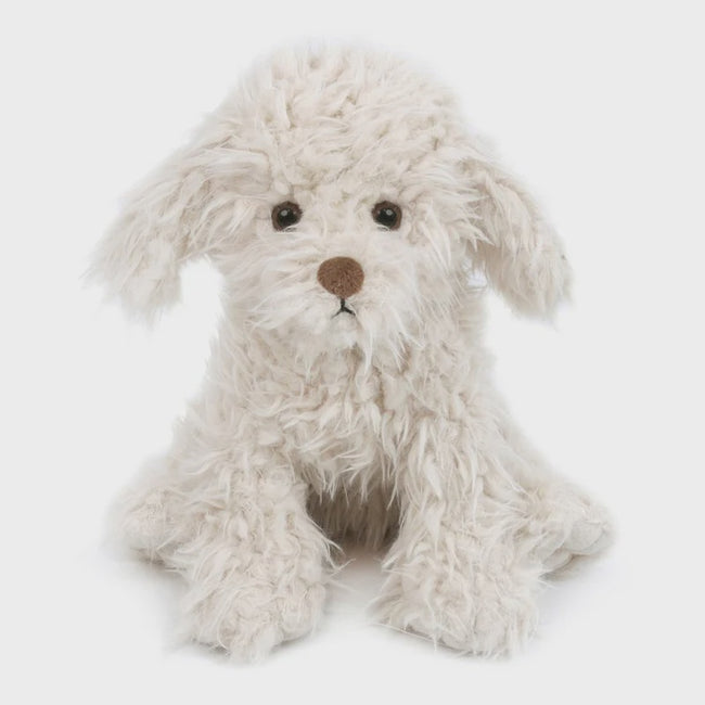 Muffin Shaggy Dog