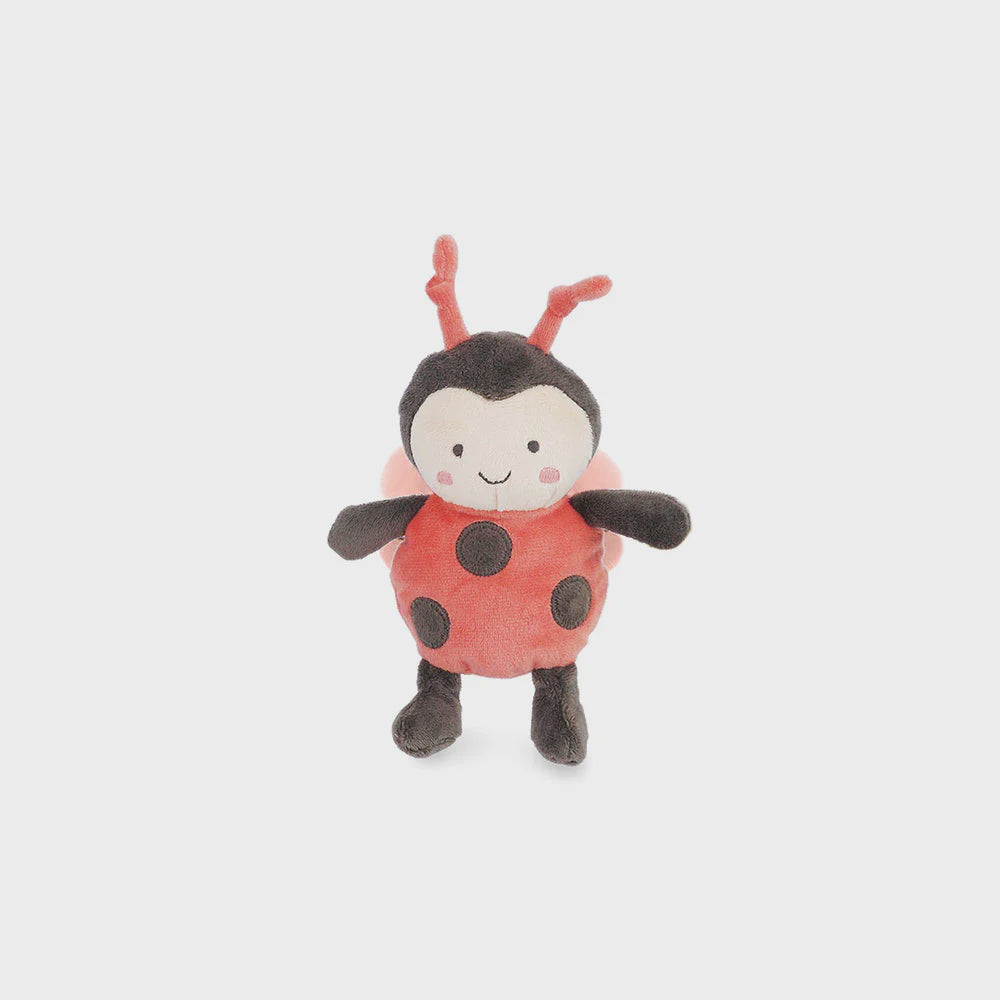 Petit Ladybug