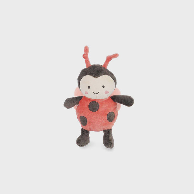 Petit Ladybug