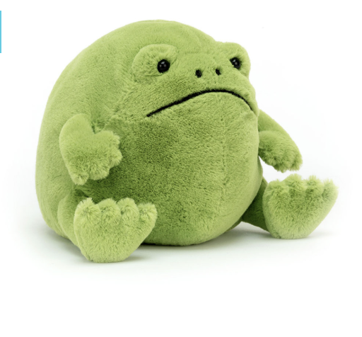 Ricky Rain Frog