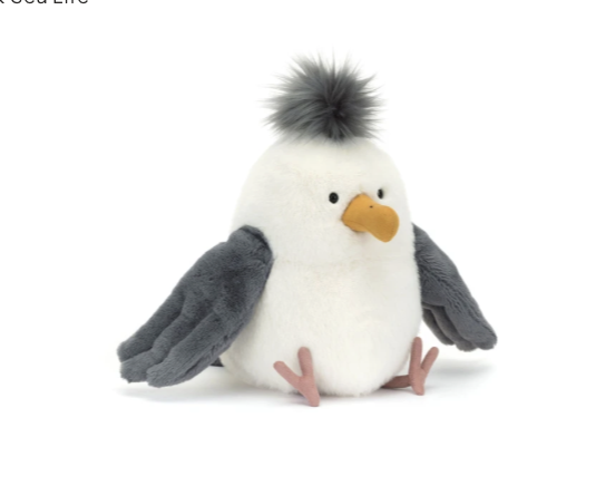 Chip Seagull