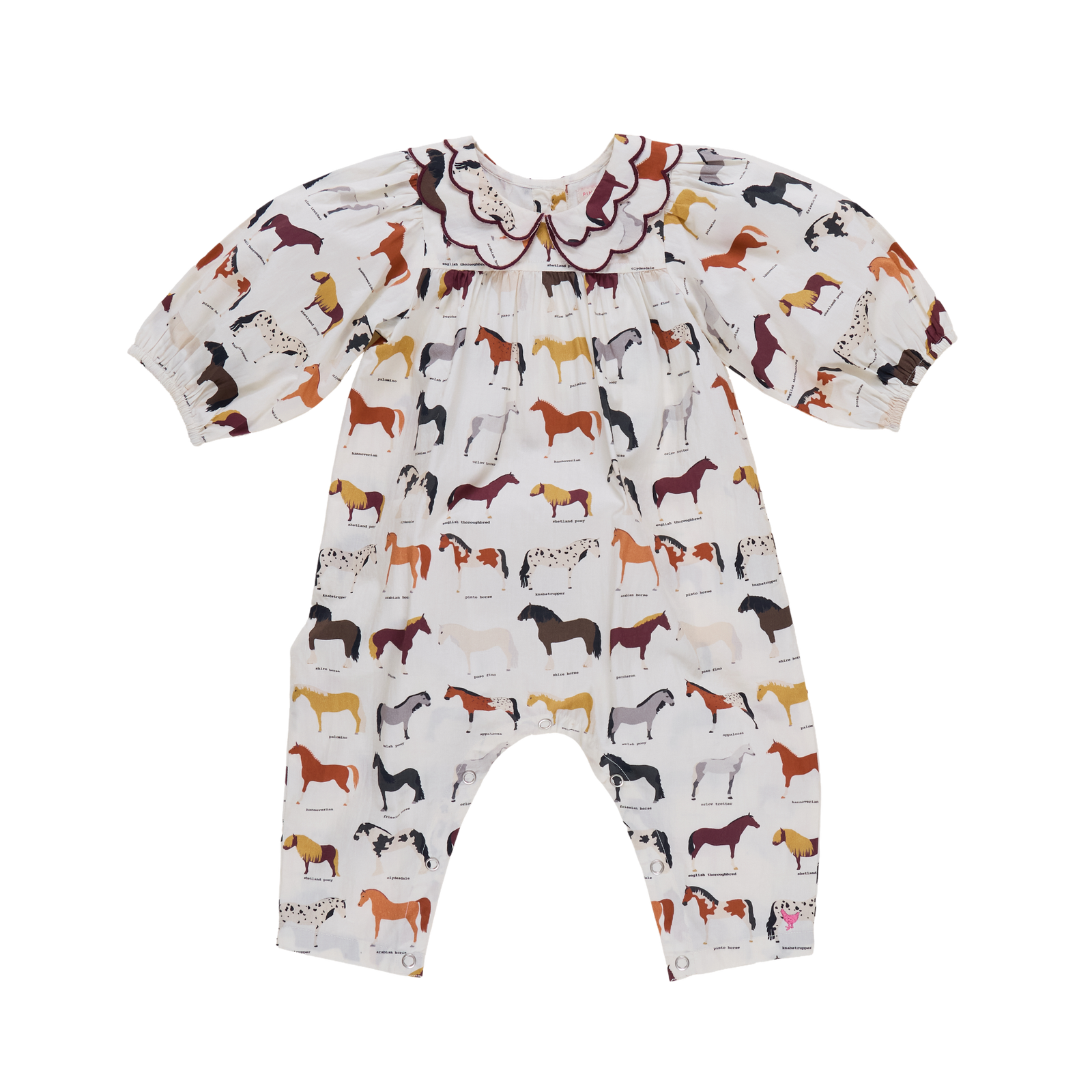 Darcy Jumper- Horse Breeds
