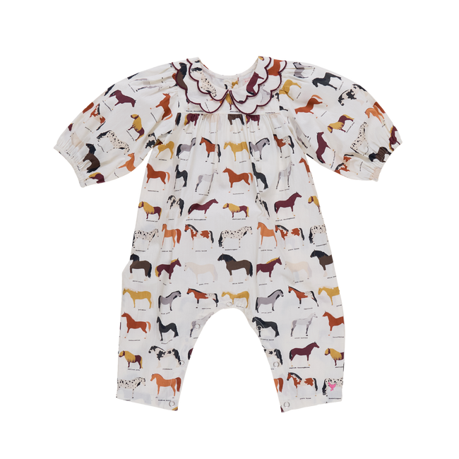 Darcy Jumper- Horse Breeds