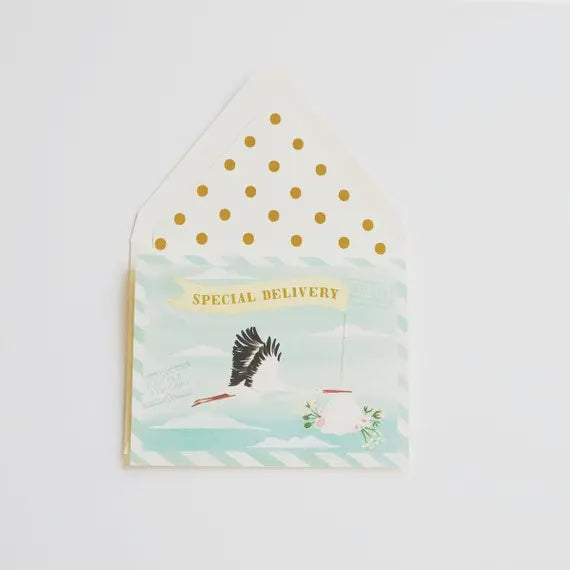 Special Delivery Baby Stork Greeting Card