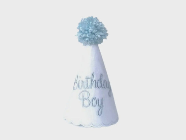 Birthday Boy Party Hat