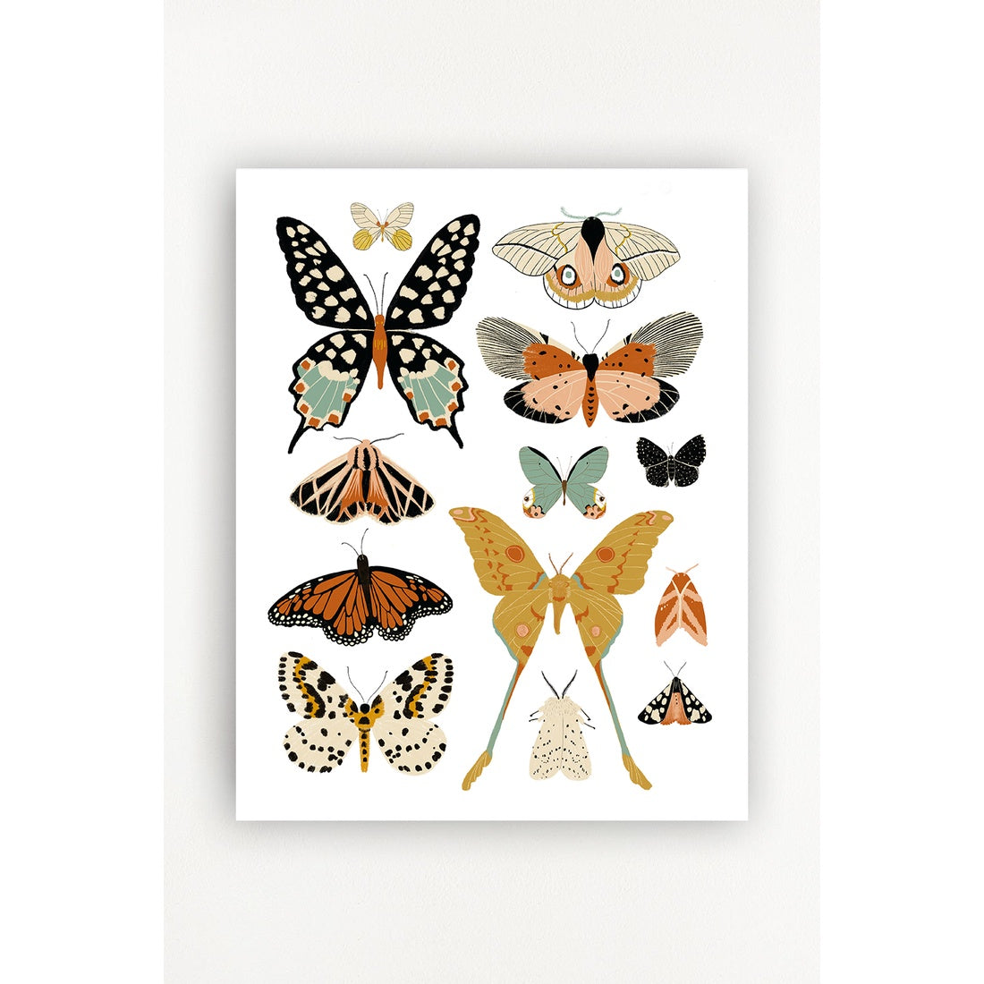 Butterfly Collector Art - 11x14